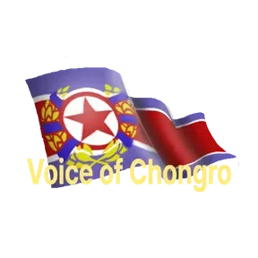 Voice of Chongro station logo