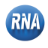 RNA Madagascar station logo