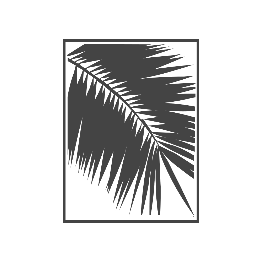 Palmera Blanca radio - Daystream station logo