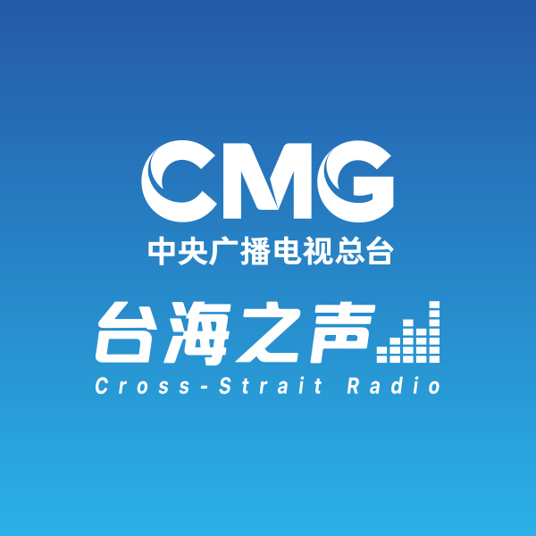 台海之聲 station logo