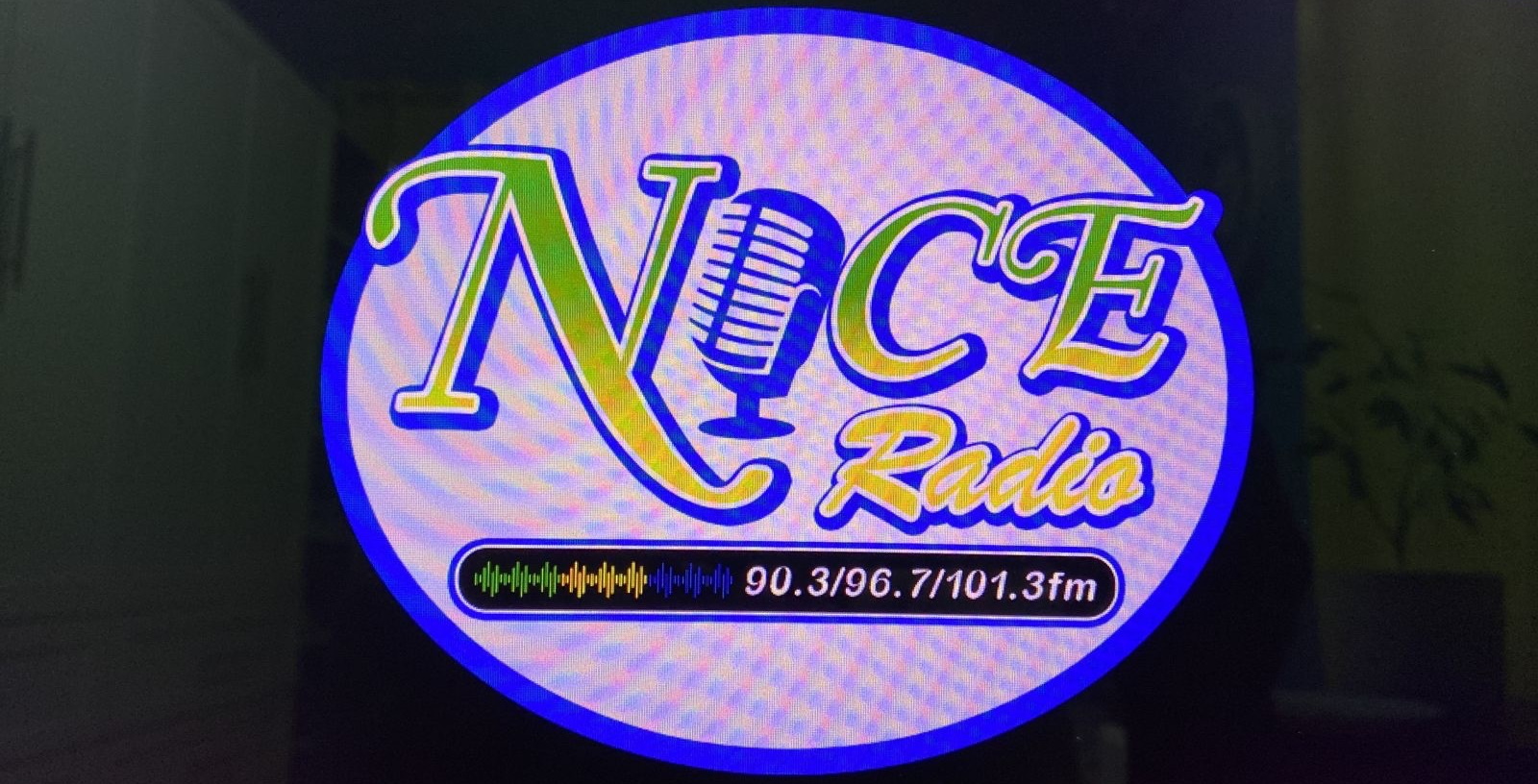 BDS NICE RADIO SVG station logo