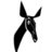 Radio Okapi station logo