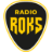 Radio ROKS (Moldova) - Pop Rock station logo