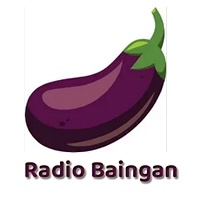 radiobaingan station logo