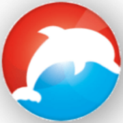 Dolfijn FM Classic 80's 90's station logo