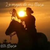 Lo mejor de mi llano station logo