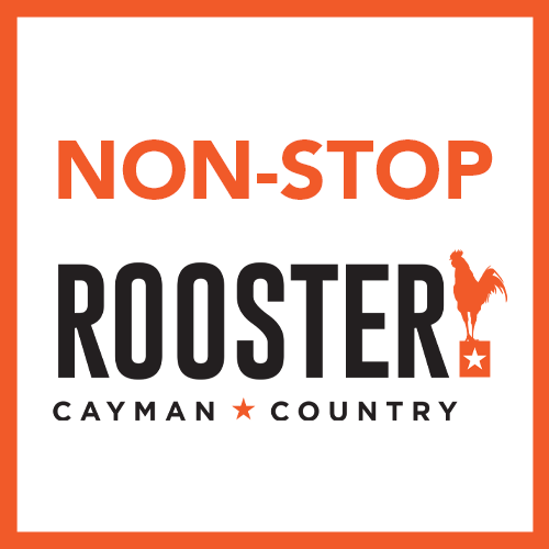 Rooster 101 station logo