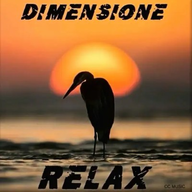 RADIO DIMENSIONE RELAX station logo