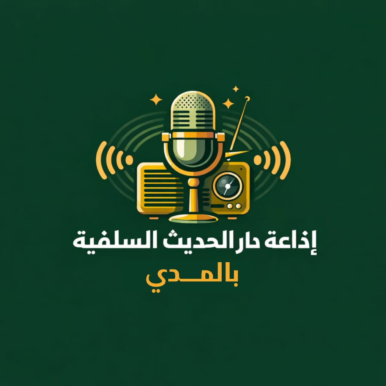 دار الحديث السلفية بالمدي station logo