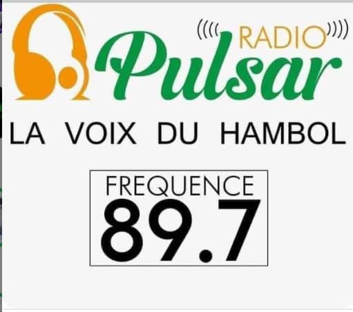 Radio Pulsar Katiola station logo